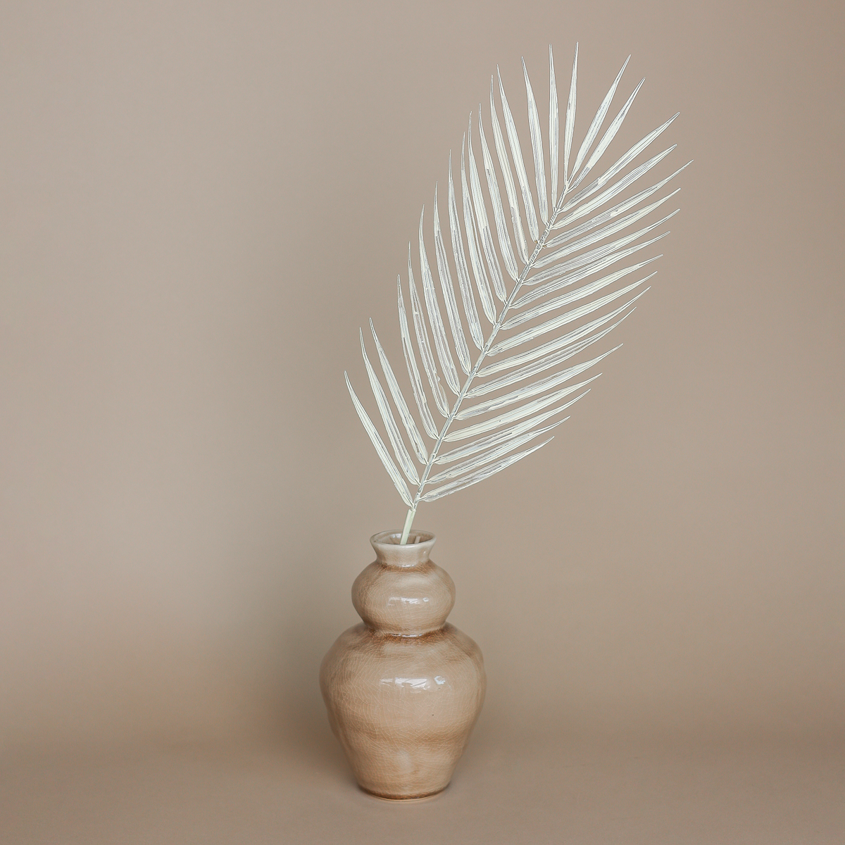 Design Vase & Felipa Palmenblatt Fritz 13x20cm Keramik hellbraun Set –