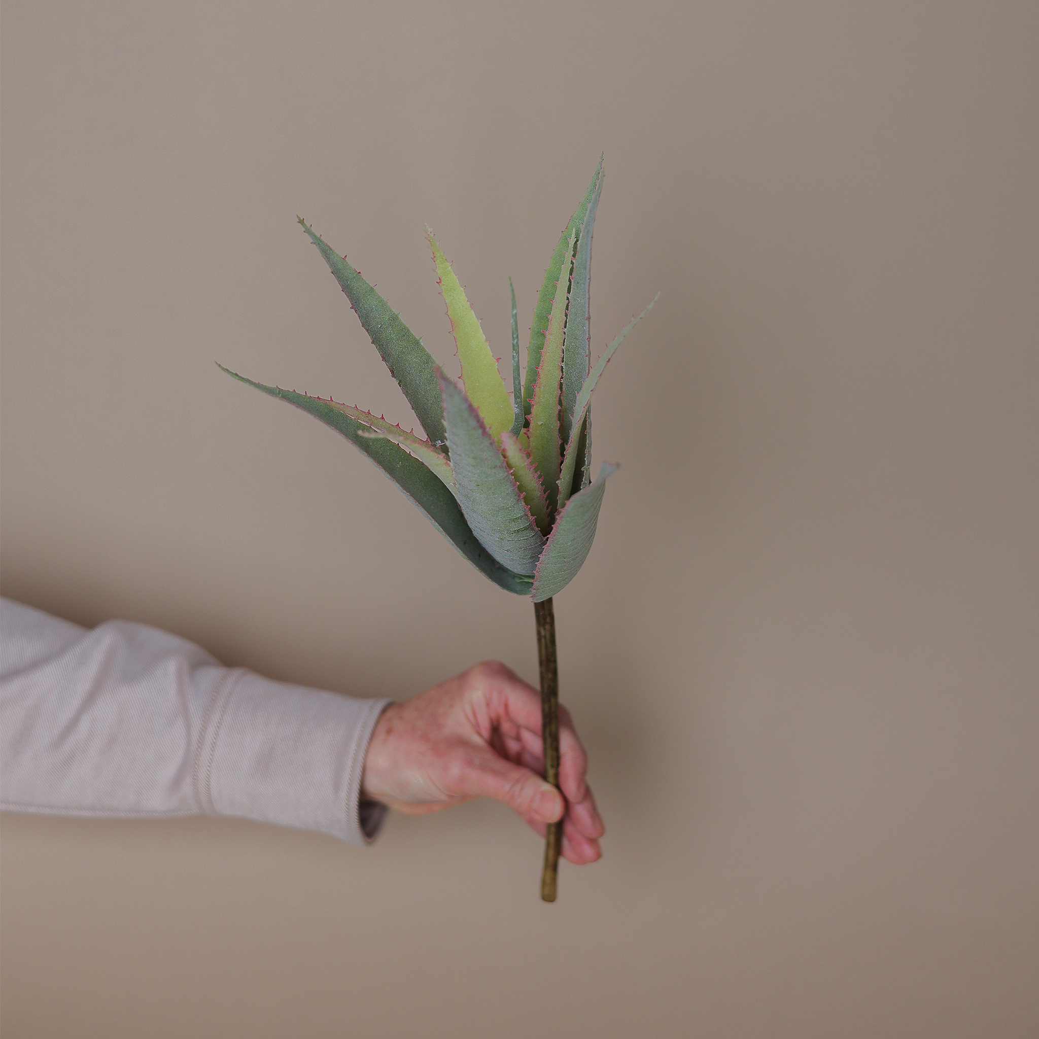 Max Aloe Kunstpflanze grün