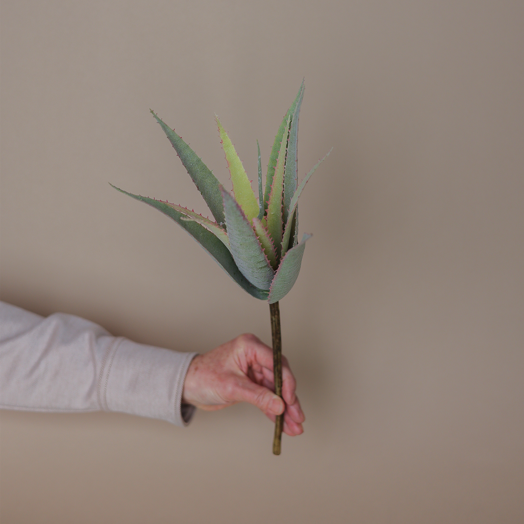 Aloe Kunstzweig gehalten von einer Hand.