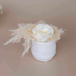 Gefäß aus Glanzglasur in creme-weiß mit einer weißen Trockenrose und cremefarbenem Ziergras.