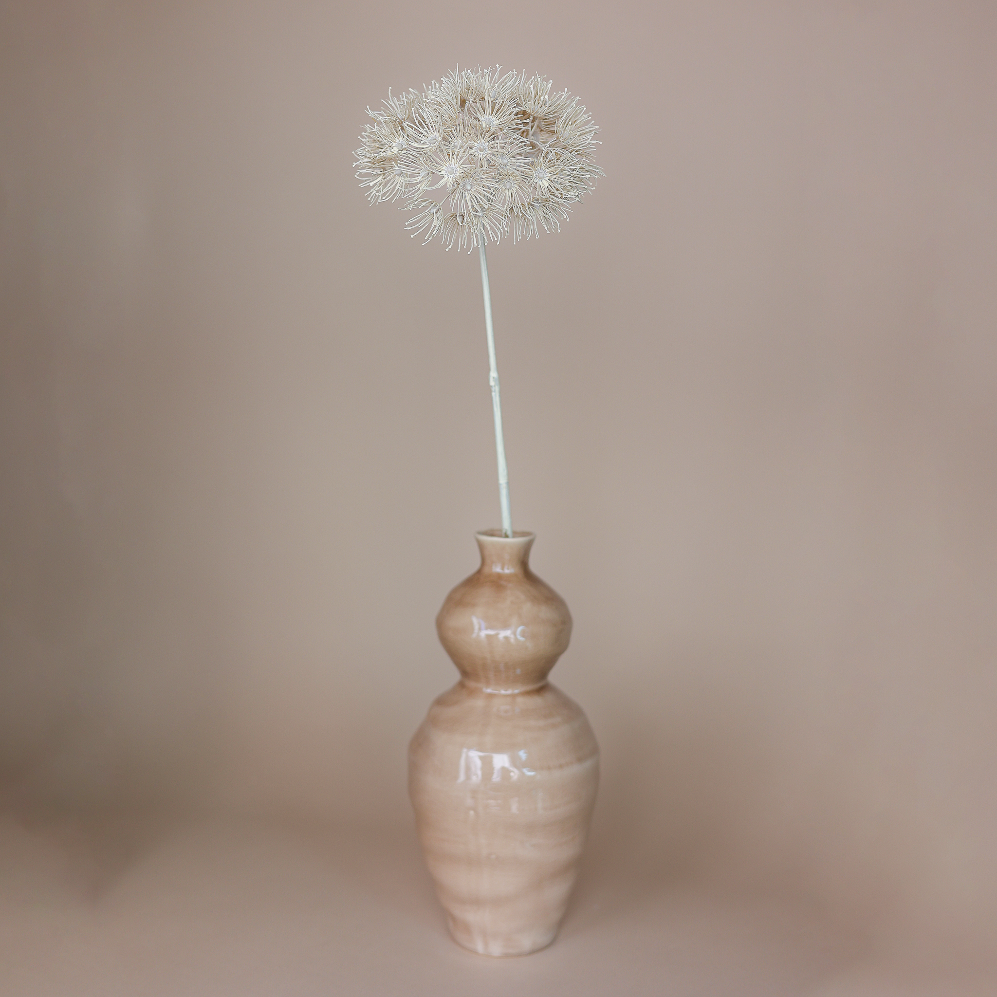 Fritz Set Allium Blüte & Vase Keramik 