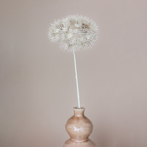 Fritz Set Allium Blüte & Vase Keramik Nahaufnahme