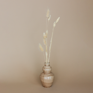 Fritz Lagurus Phalaris Trockenblüten in brauner Keramikvase