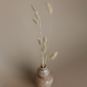 Draufsicht auf eine Kombination aus gebleichten Mini Pampasgräsern in einer Vase.