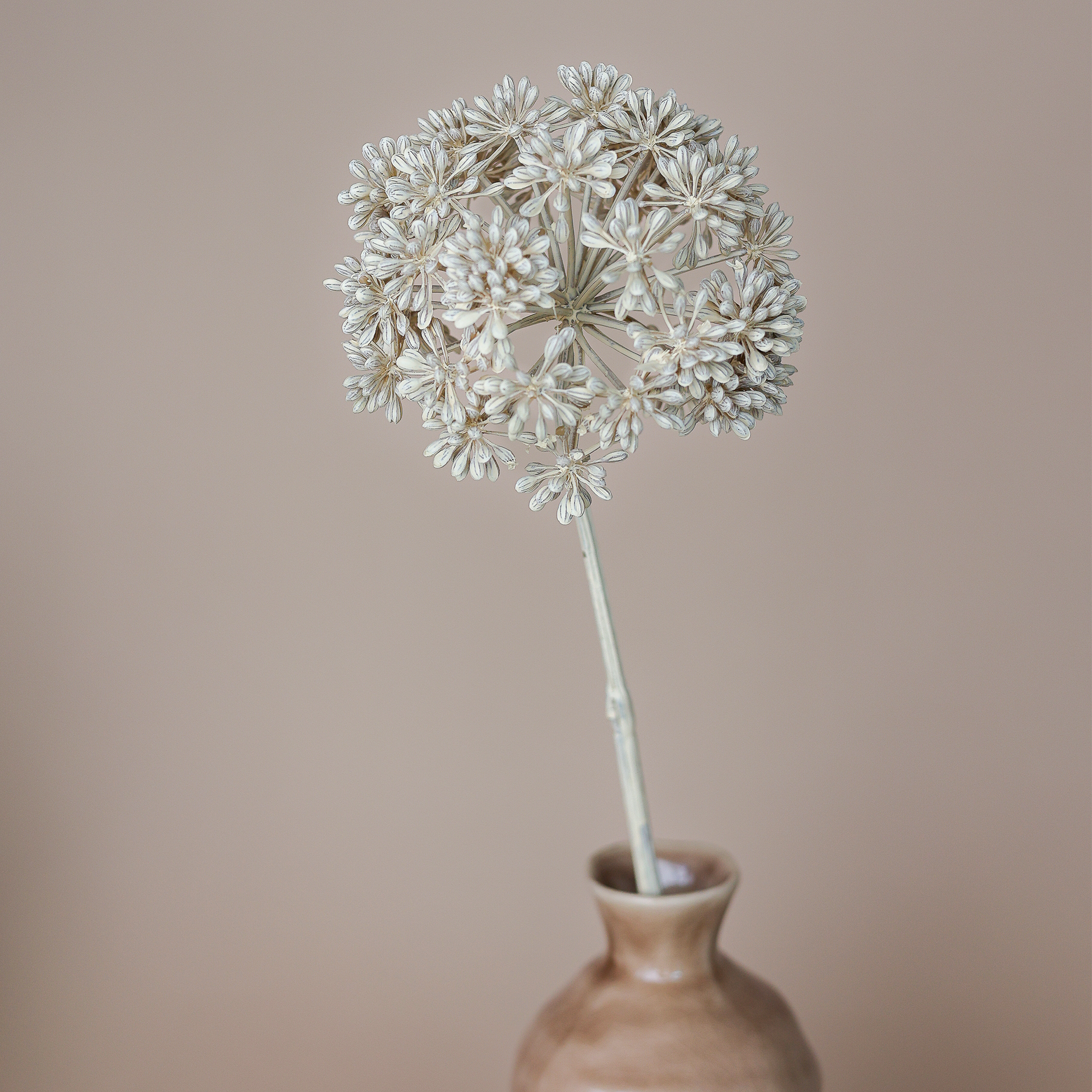 Fritz Set Eukalyptus Blüte & Vase Keramik hellbraun 14x28cm – Felipa Design