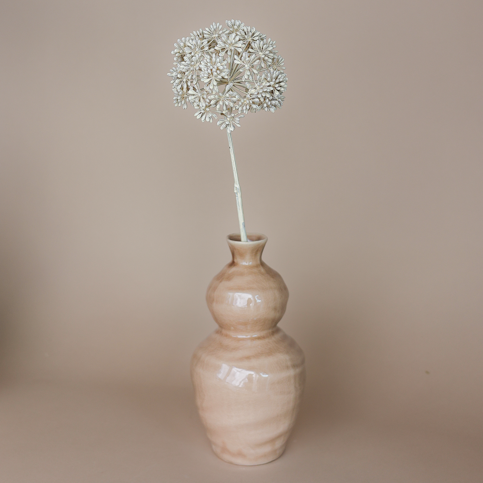 Fritz Set Eukalyptus Blüte & Vase Keramik hellbraun 14x28cm