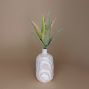 Aloe Kunstzweig in der cremeweiß geriffelten Vase "Max".